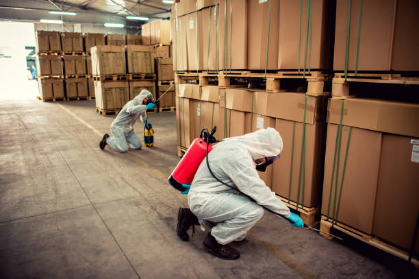 Best Pest Control Cost  in Dano, CO