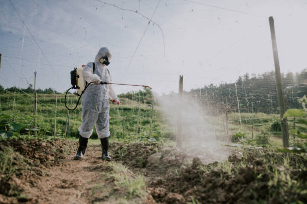 Best Affordable Pest Control Services  in Dano, CO