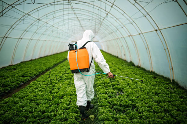 Pest Control Cost in Dacono, CO