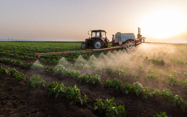 Best Pest Prevention Services  in Dano, CO