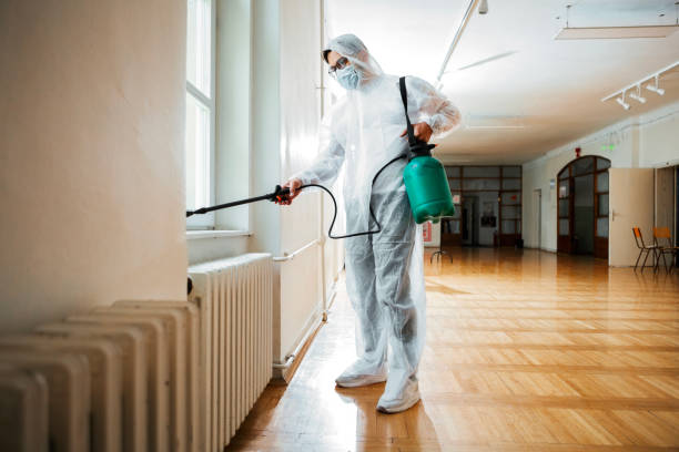 Best Local Pest Control Services  in Dano, CO