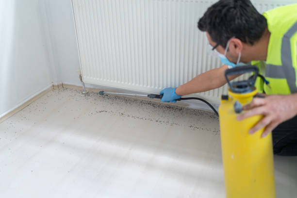 Best Best Pest Control Companies  in Dano, CO