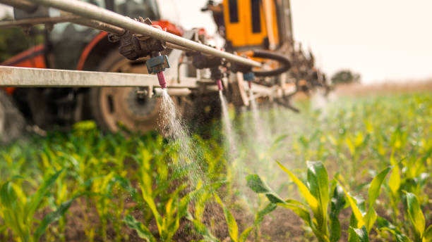 Professional Pest Control in Dacono, CO